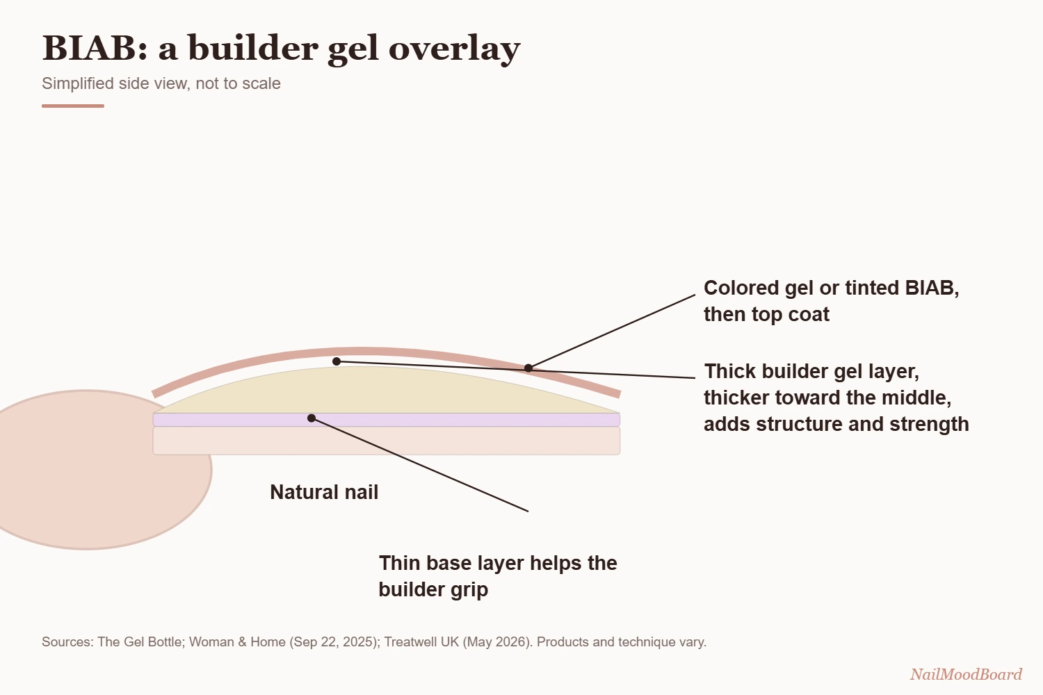 BIAB nails diagram: a builder gel overlay on a natural nail